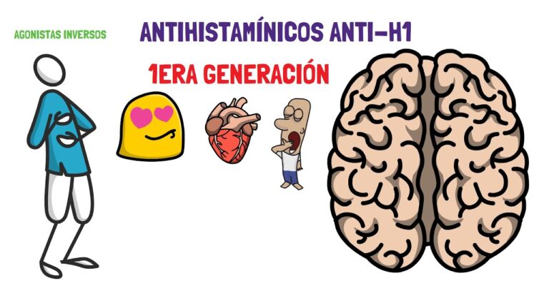 Guía Explicativa: Entender Cómo Funcionan los Antihistamínicos para Aliviar Alergias