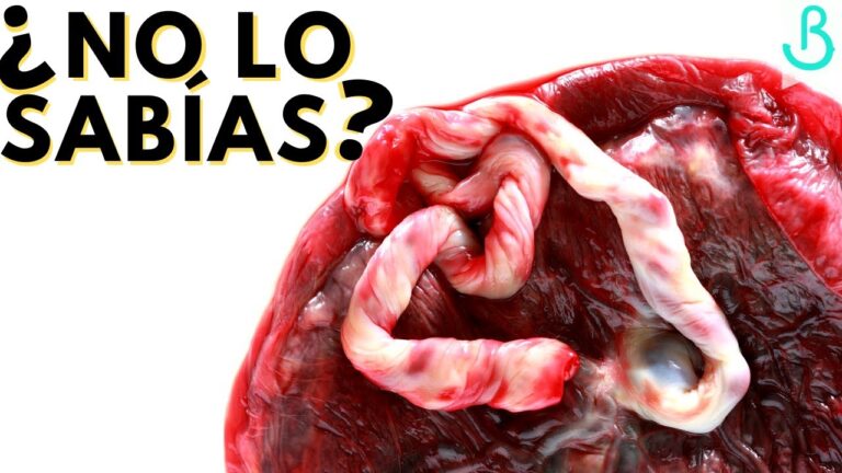 Entendiendo las enfermedades de la placenta: síntomas y tratamientos clave