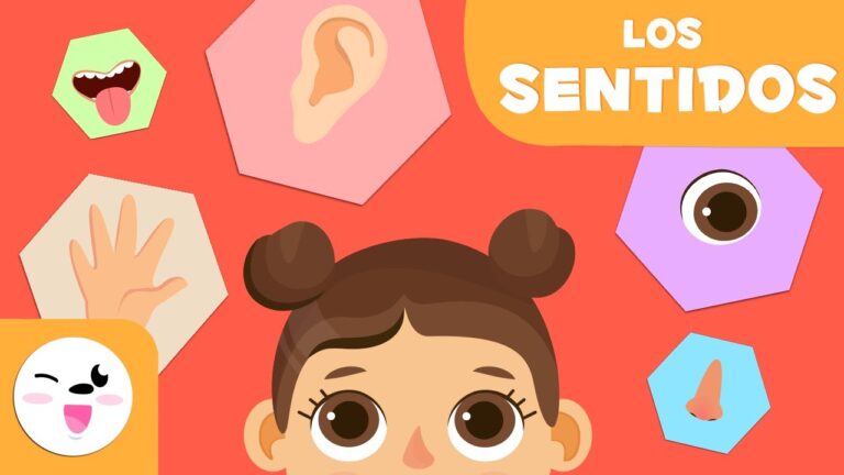 Descubre los Cinco Sentidos Humanos: Guía Completa para Entender Nuestras Capacidades Sensoriales