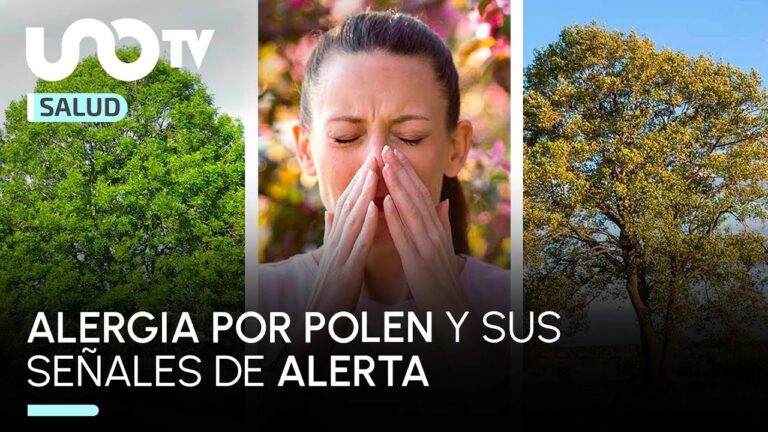 Síntomas Comunes de la Alergia al Polen: Identificación y Consejos