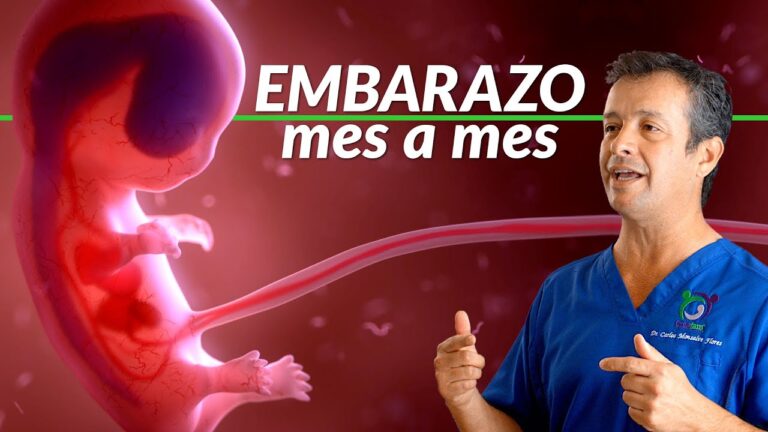 Las 10 Características Principales del Embarazo: Guía Completa para Futuras Mamás