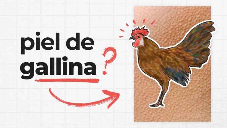 Entendiendo el Fenómeno: Por Qué Se Nos Pone La Piel De Gallina – Explicación Científica