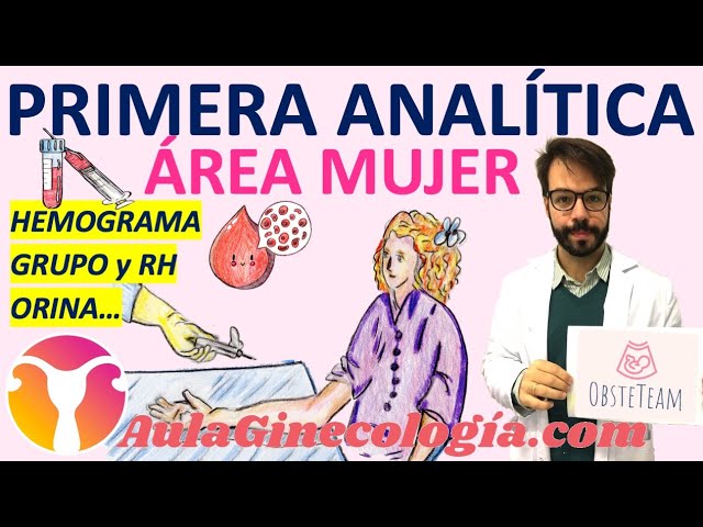 Análisis del Embarazo: Descubriendo qué Revela la Analítica del Primer Trimestre