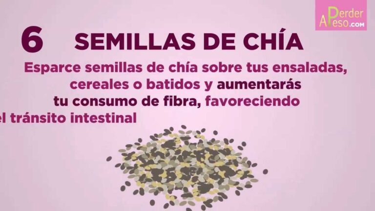 Guía Práctica: Cómo Adelgazar con Semillas de Chía – Beneficios y Recetas