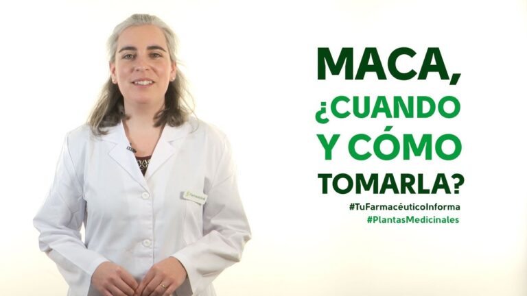 Guía práctica: cómo tomar maca para adelgazar y mejorar tu bienestar